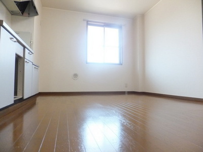 Living and room. Large dining