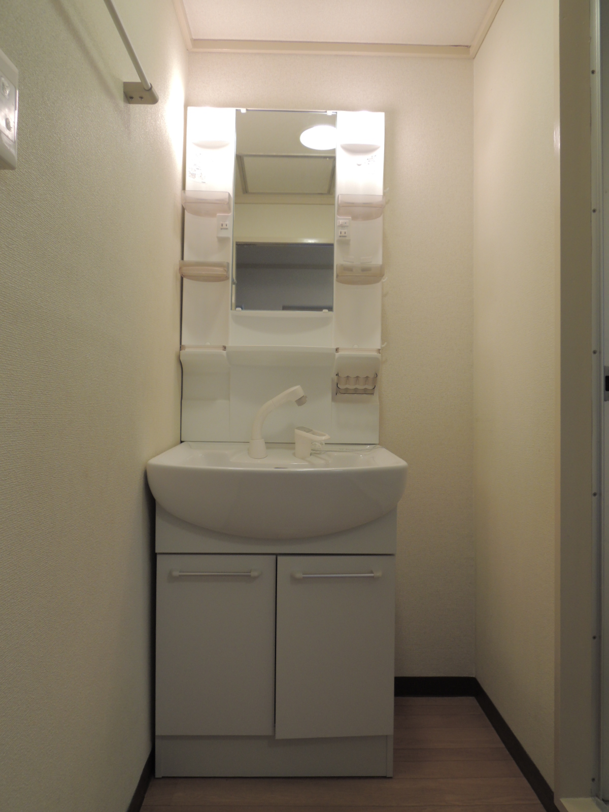 Washroom. Vanity shower