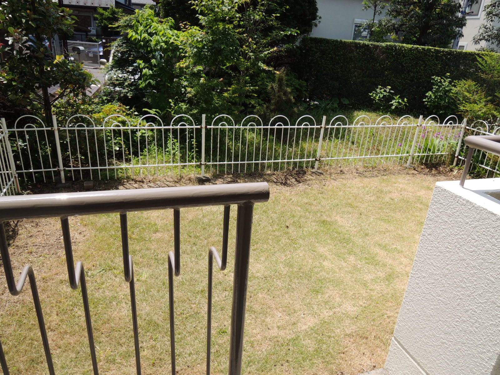 Garden. Private garden