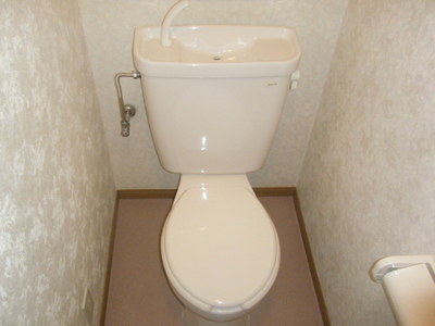 Toilet. Toilet