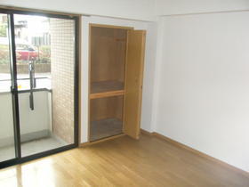 Living and room. Pat storage