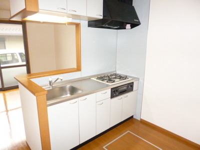 Kitchen. Large cooking space epidemic of counter kitchen