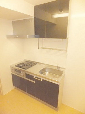 Kitchen. Popular system Kitchen