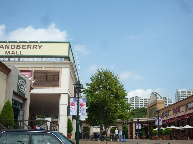 Shopping centre. Granbury Mall About 1480m until the (shopping center) 1480m