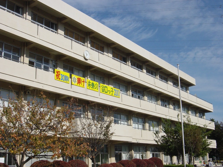 Primary school. Taniguchi 617m up to elementary school (elementary school)