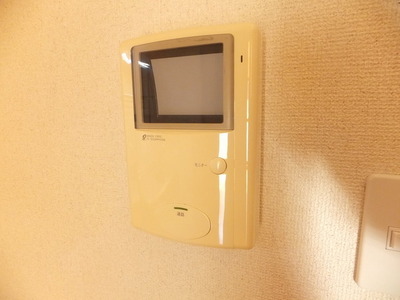 Security. TV monitor intercom
