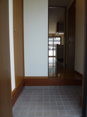 Entrance. There shoes BOX in the front door