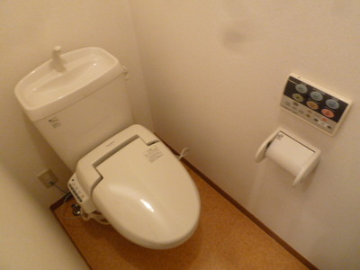 Toilet. With warm water washing toilet seat