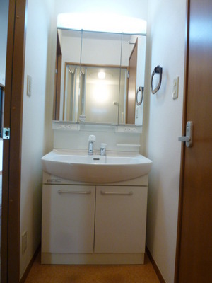 Washroom. Glad Bathroom Vanity