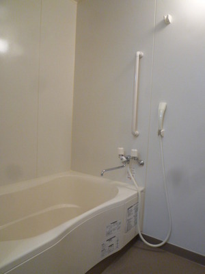 Bath. Beautiful bathroom