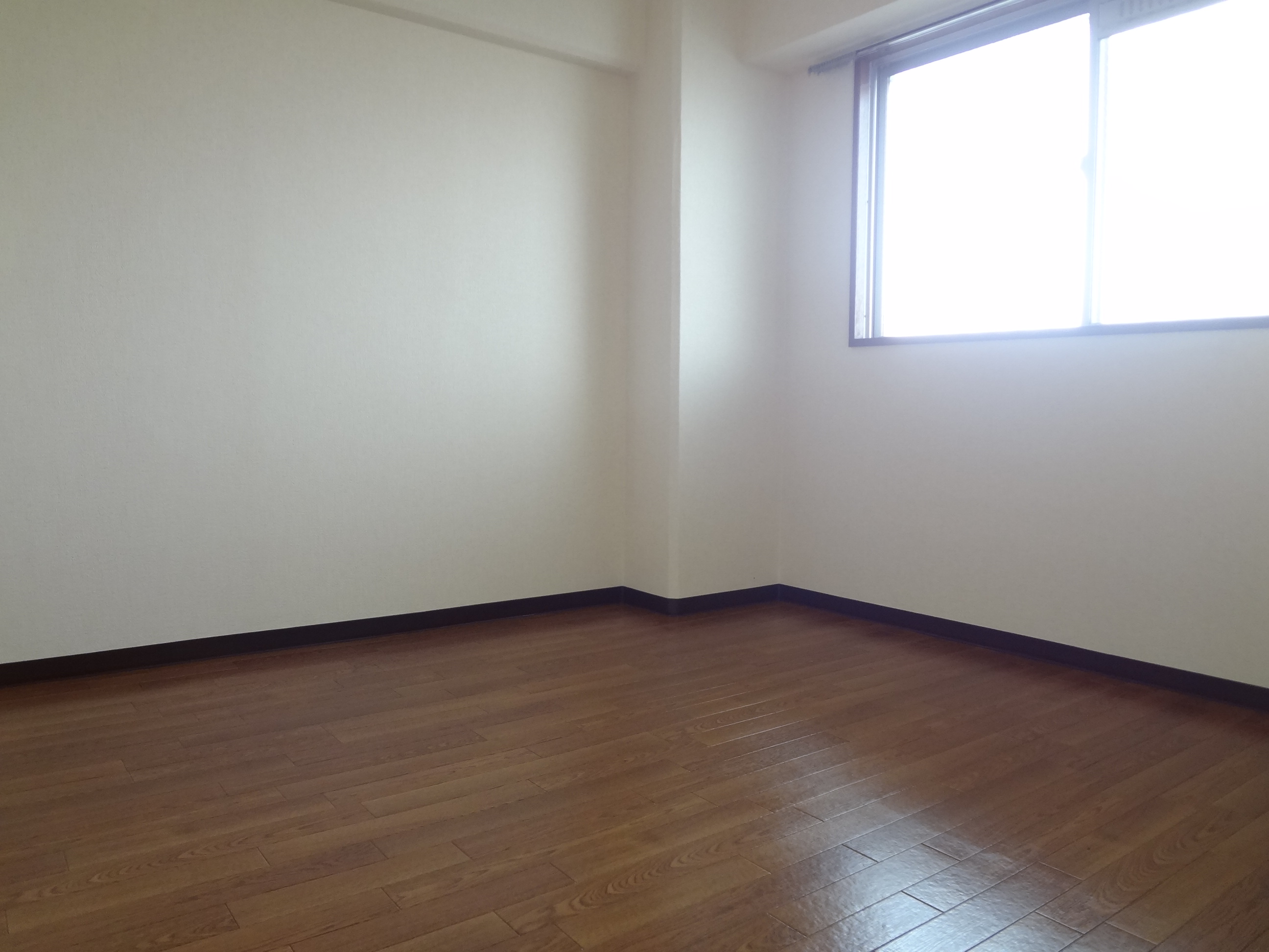 Other room space. Western style room