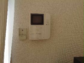 Other. Monitor with intercom