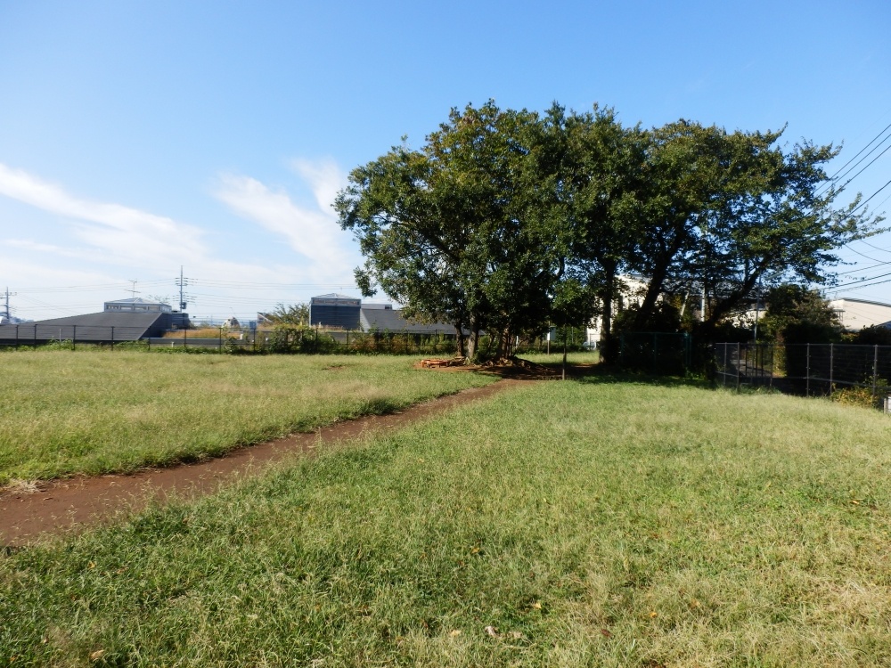 park. park Tamagawa Gakuen 314m until chome 4 (park)