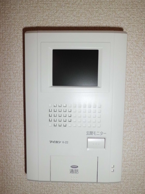 Security. Monitor with intercom