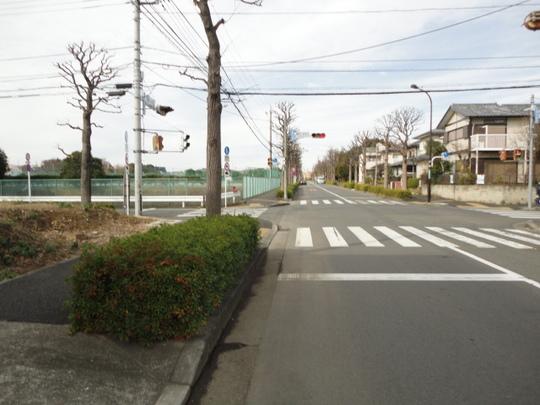 Local photos, including front road. Frontal road