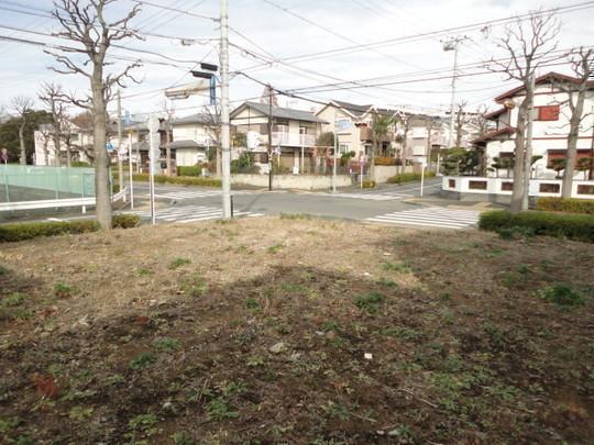 Local land photo. Local Photos