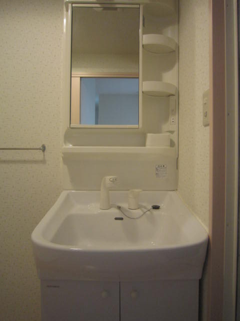 Washroom. Washbasin with shower