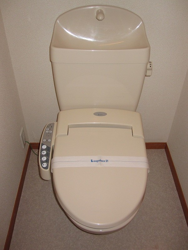 Toilet. With warm water washing toilet seat