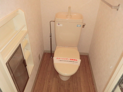 Toilet. Spread of toilet