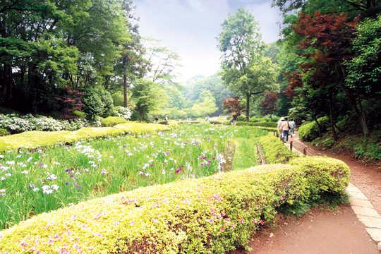 Other. Yakushi pond park A 10-minute walk (about 800m)