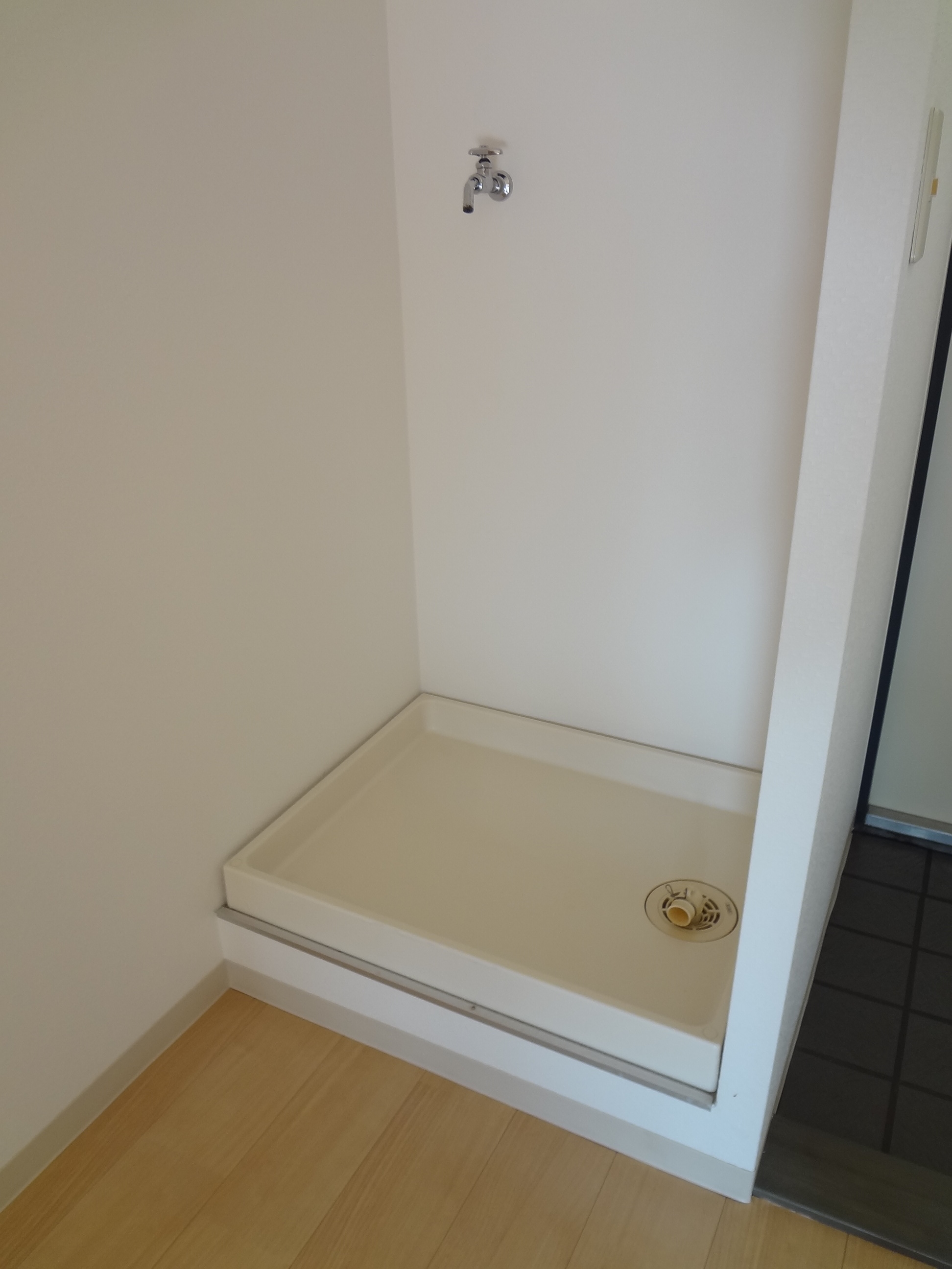 Washroom. Laundry Area