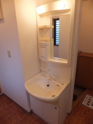 Washroom. Wash basin equipped independent