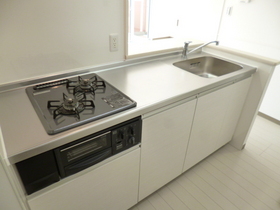 Kitchen. System kitchen, With gas two-burner grill