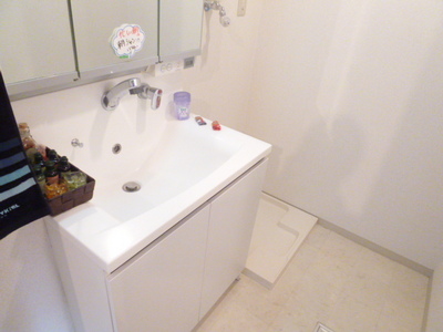 Washroom. Happy independence wash basin for women