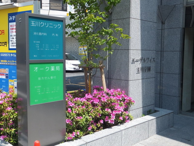 Hospital. Tamagawa 280m until the clinic (hospital)