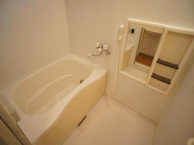 Bath. Useful add-fired function bus