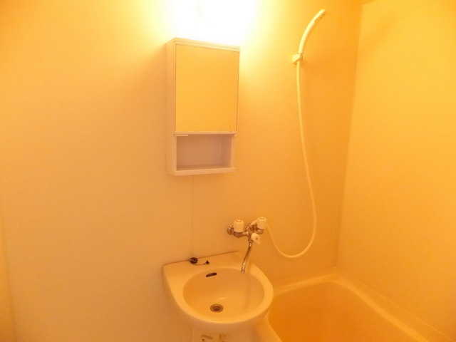 Washroom. Wash basin