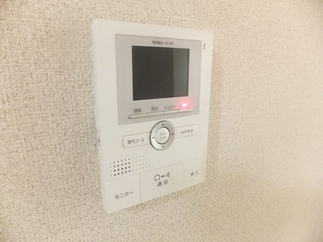 Security. Security peace of mind TV monitor phone