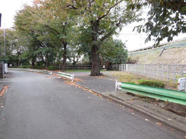 Local photos, including front road