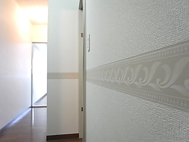 Other. Accent Cross specification