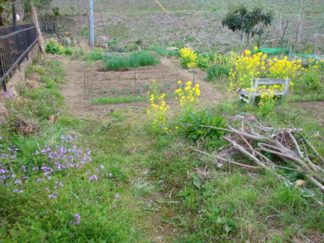 Local land photo. Local Photos