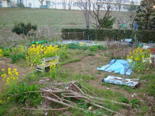 Local land photo. Local Photos