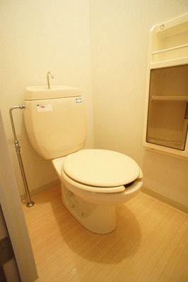 Toilet. There is a convenient storage in toilet
