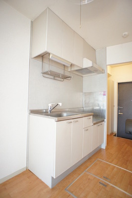 Kitchen. Wide and beautiful kitchen.