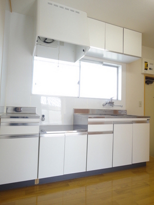 Kitchen. Spacious kitchen space, 2-neck is a gas stove can be installed