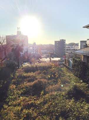 Local land photo. Appearance (1)