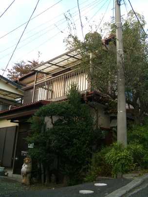 Local land photo. Appearance (1)