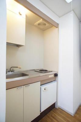 Kitchen. Safe electric stove type without a fire