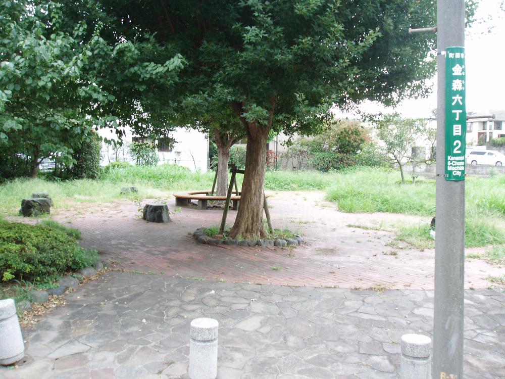 View photos from the local. park