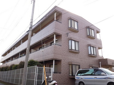 Entrance. Sunny Auto-lock with Mansion