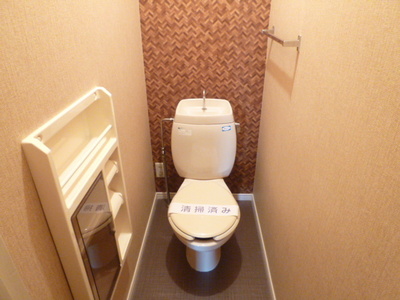 Toilet. Toilet using the Asian Cross