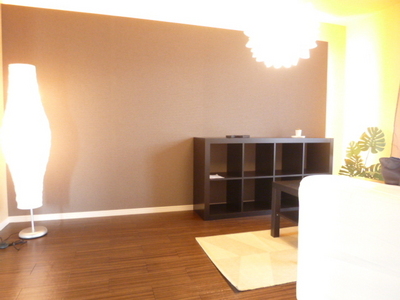 Living and room. Model room (not attached furniture, etc.)