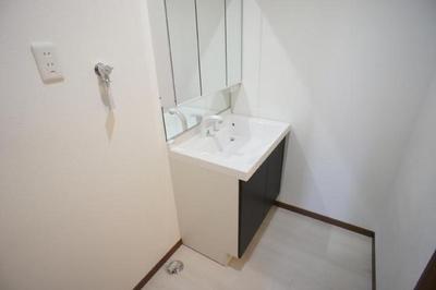 Washroom. Comfortable, even a busy morning in the wash basin with Shandore!