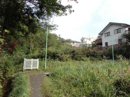 Local land photo. Local: 2012. November shooting