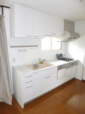 Kitchen. Popular system Kitchen