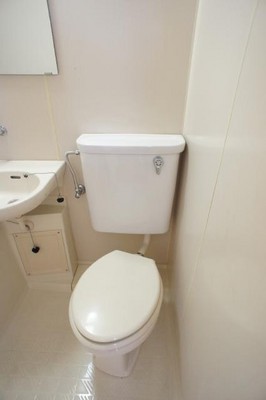 Toilet. Toilet with cleanliness